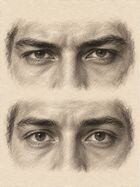 Hunter versus prey eyes