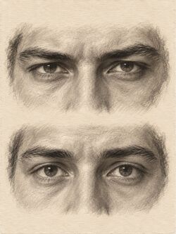 Hunter eyes vs prey eyes charcoal.jpg